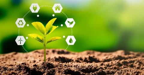 Een plantje dat net uit de grond komt met allerlei klimaatverbeterende opties